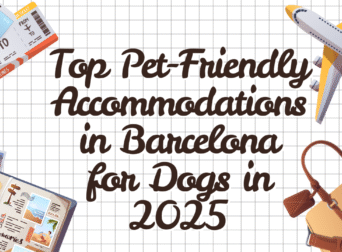 Top Pet-Friendly Accommodations in Barcelona for Dogs in 2025