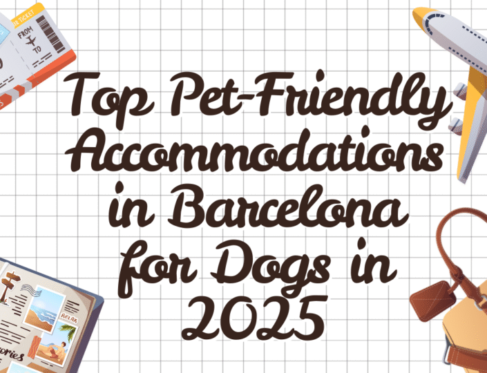 Top Pet-Friendly Accommodations in Barcelona for Dogs in 2025