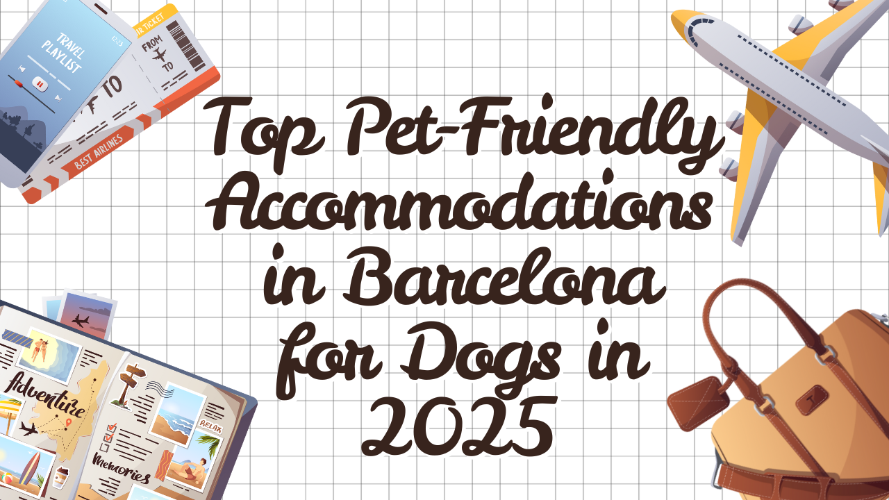 Top Pet-Friendly Accommodations in Barcelona for Dogs in 2025